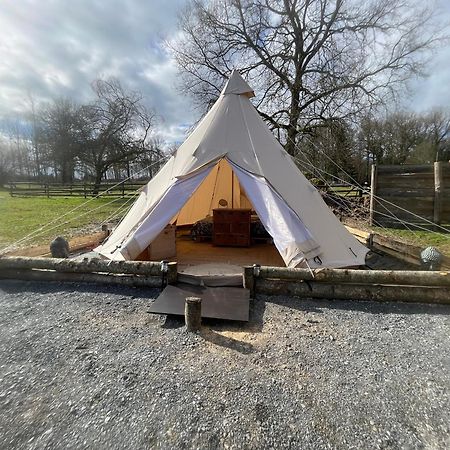 Chalet Au Coeur De La Nature Le Grand-Lucé 外观 照片