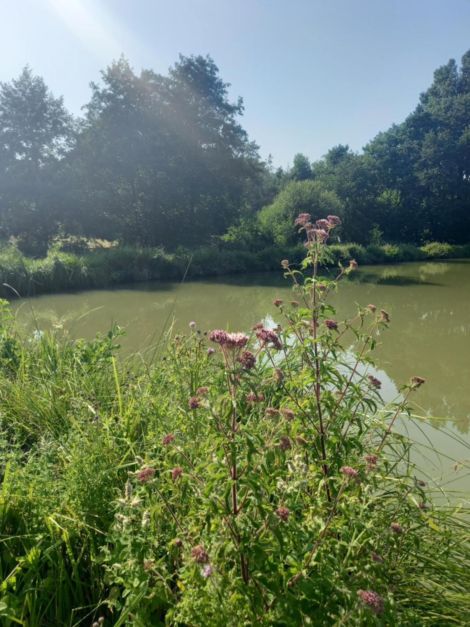 Chalet Au Coeur De La Nature Le Grand-Lucé 外观 照片