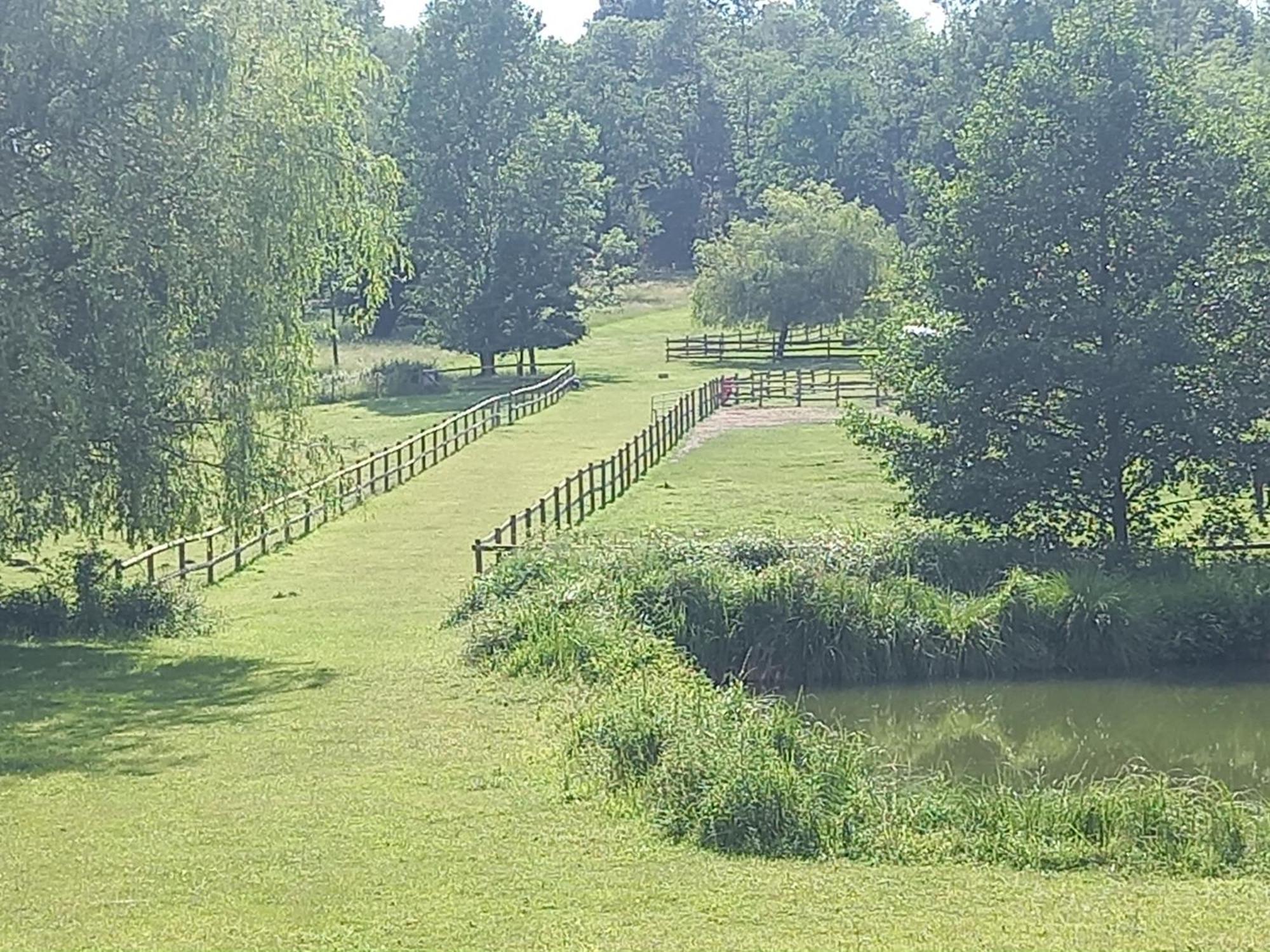 Chalet Au Coeur De La Nature Le Grand-Lucé 外观 照片